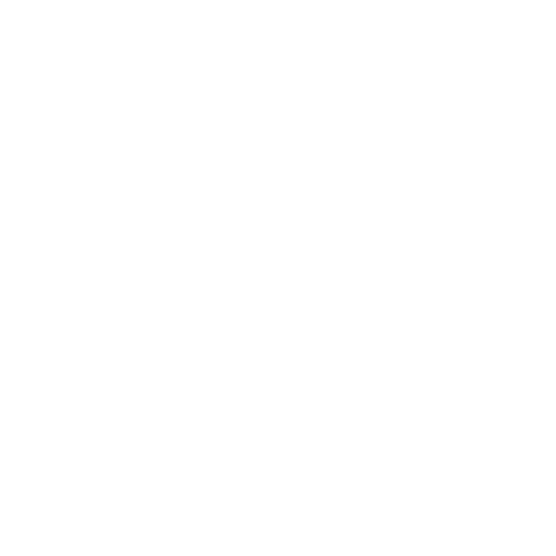 Almadel Schladming, live like nobility in apartments
